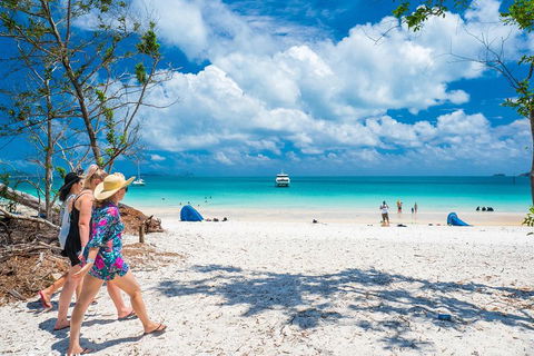 Whitehaven Beach Half-Day Cruises - Accommodation Mooloolaba 1