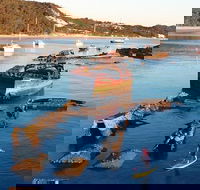 Adventure Moreton Island Wrecks Adventure Package - Accommodation Mooloolaba