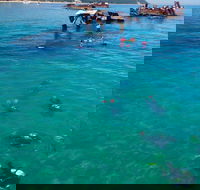 Adventure Moreton Island Scuba Dive Tour - Accommodation Mooloolaba
