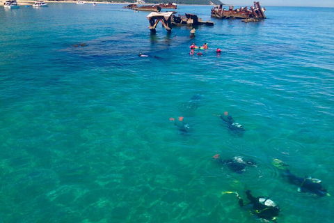 Adventure Moreton Island Scuba Dive Tour - Accommodation Mooloolaba 0