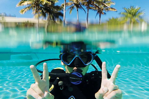 Adventure Moreton Island Scuba Dive Tour - Accommodation Mooloolaba 2