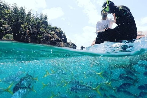 2 Night Small Group Whitsundays Sailing Adventure Aboard Mandrake - Accommodation Mooloolaba 5