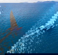 2-Night Whitsunday Islands Sailing Adventure on Trimaran Avatar - Accommodation Mooloolaba