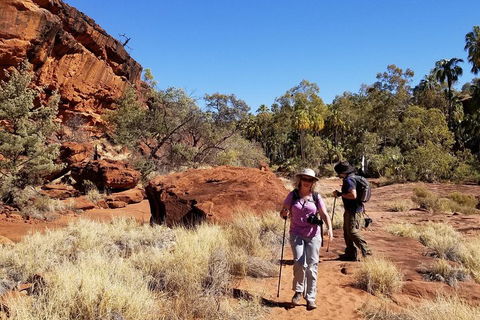 Palm Valley And Hermannsburg 1 Day 4WD Tour - Accommodation Mooloolaba 1