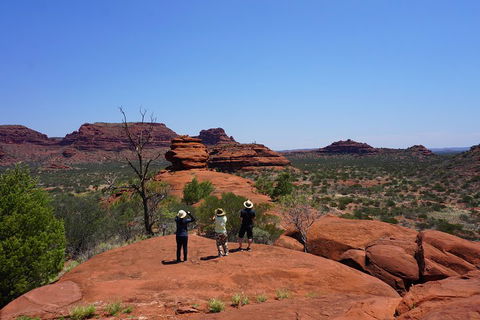Palm Valley And Hermannsburg 1 Day 4WD Tour - Accommodation Mooloolaba 2