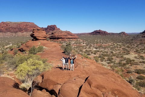 Palm Valley And Hermannsburg 1 Day 4WD Tour - Accommodation Mooloolaba 3