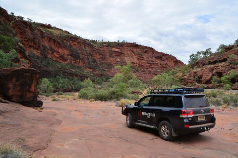Palm Valley And Hermannsburg 1 Day 4WD Tour - Accommodation Mooloolaba 5