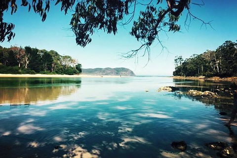 Full-Day Guided Bruny Island Tour From Hobart - Accommodation Mooloolaba 1