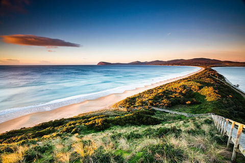 Full-Day Guided Bruny Island Tour From Hobart - Accommodation Mooloolaba 2
