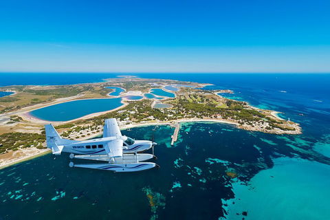 Full Day Tour By Seaplane To Rottnest Island Small Group Trip - Accommodation Mooloolaba 1