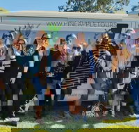 Full Day Mount Tamborine Winery Tour from Gold Coast - Accommodation Mooloolaba