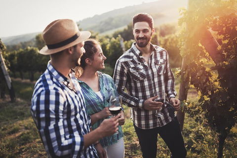Full Day Mount Tamborine Winery Tour From Gold Coast - Accommodation Mooloolaba 5