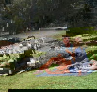 Mt Tamborine - Hinterland Wonders Self Guided - Accommodation Mooloolaba