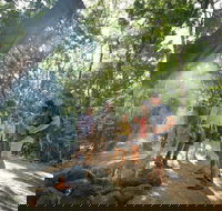Mossman Gorge Adventure Day - Accommodation Mooloolaba