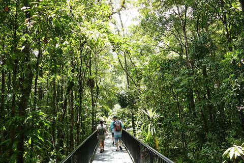 Daintree Dreaming Traditional Aboriginal Fishing From Cairns Or Port Douglas - Accommodation Mooloolaba 3