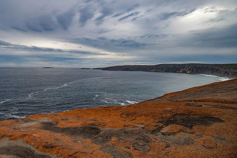 Kangaroo Island Luxury Small Group 'Flinders Chase Focus' Full Day Tour - Accommodation Mooloolaba 0