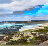 Kangaroo Island Luxury Small Group 'East End Explorer' Full Day Tour - Accommodation Mooloolaba