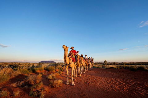 Uluru Small-Group Tour By Camel At Sunrise Or Sunset - Accommodation Mooloolaba 3