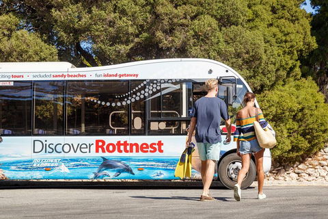 Discover Rottnest With Ferry & Bus Tour From Perth Or Fremantle - Accommodation Mooloolaba 1