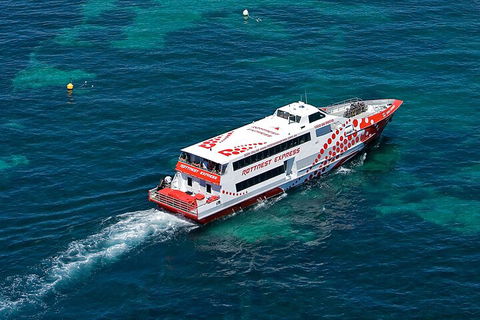 Discover Rottnest With Ferry & Bus Tour From Perth Or Fremantle - Accommodation Mooloolaba 3