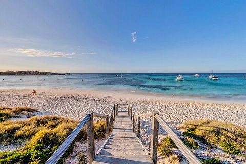 Discover Rottnest With Ferry & Bus Tour From Perth Or Fremantle - Accommodation Mooloolaba 4