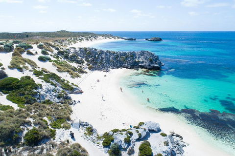 Discover Rottnest With Ferry & Bus Tour From Perth Or Fremantle - Accommodation Mooloolaba 5