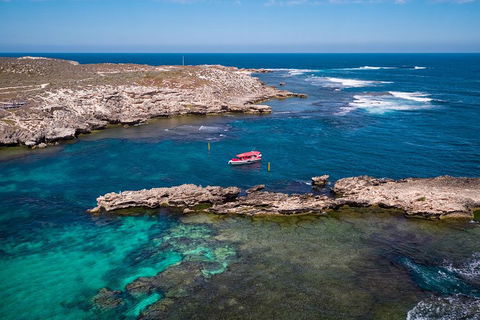 Adventure Rottnest Tour With Ferry & Adventure Cruise From Perth Or Fremantle - Accommodation Mooloolaba 3