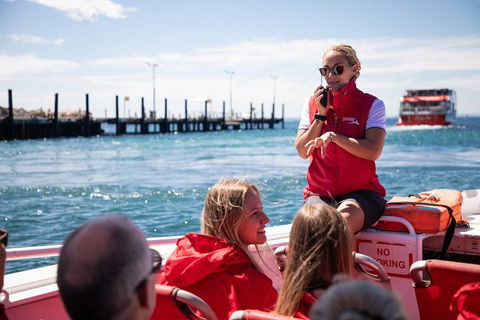 Adventure Rottnest Tour With Ferry & Adventure Cruise From Perth Or Fremantle - Accommodation Mooloolaba 4