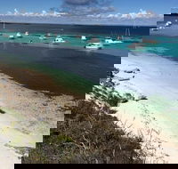 Experience Rottnest with Ferry  Bike Hire from Perth or Fremantle - Accommodation Mooloolaba