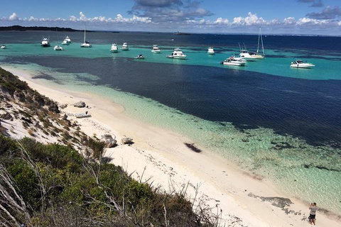 Experience Rottnest With Ferry & Bike Hire From Perth Or Fremantle - Accommodation Mooloolaba 0