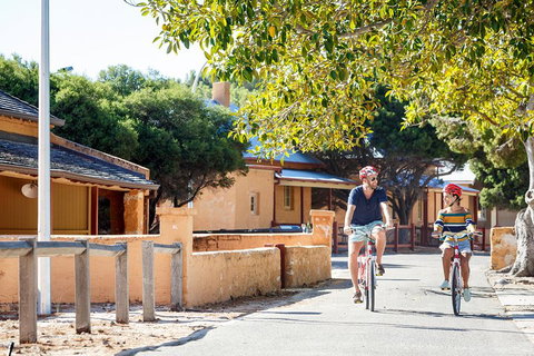 Experience Rottnest With Ferry & Bike Hire From Perth Or Fremantle - Accommodation Mooloolaba 1