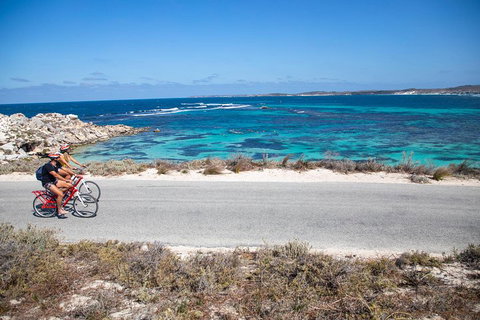 Experience Rottnest With Ferry & Bike Hire From Perth Or Fremantle - Accommodation Mooloolaba 2