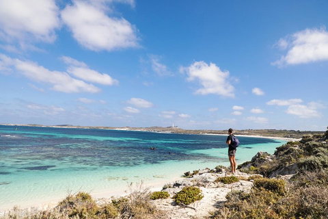 Experience Rottnest With Ferry & Bike Hire From Perth Or Fremantle - Accommodation Mooloolaba 3