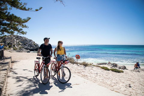 Experience Rottnest With Ferry & Bike Hire From Perth Or Fremantle - Accommodation Mooloolaba 4