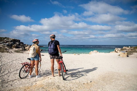 Experience Rottnest With Ferry & Bike Hire From Perth Or Fremantle - Accommodation Mooloolaba 5