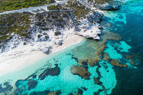 Rottnest Island Round-Trip Ferry From Perth Or Fremantle - Accommodation Mooloolaba 0