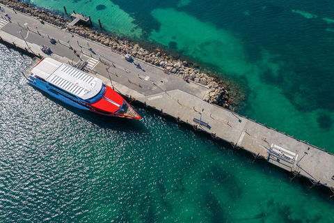 Rottnest Island Round-Trip Ferry From Perth Or Fremantle - Accommodation Mooloolaba 1