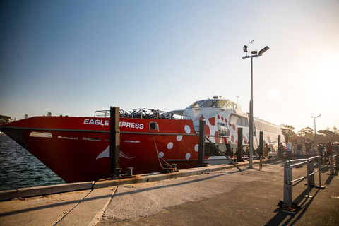 Rottnest Island Round-Trip Ferry From Perth Or Fremantle - Accommodation Mooloolaba 2