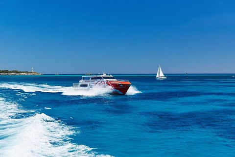 Rottnest Island Round-Trip Ferry From Perth Or Fremantle - Accommodation Mooloolaba 4