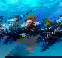 Great Barrier Reef Diving and Snorkeling Cruise from Cairns - Accommodation Mooloolaba