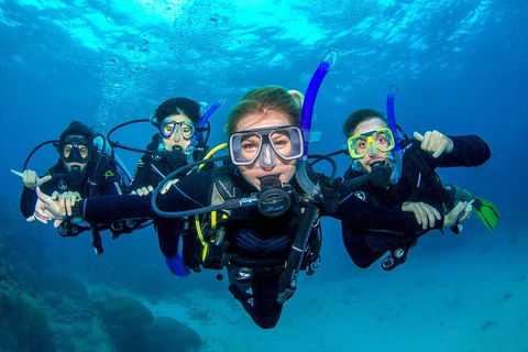 Great Barrier Reef Diving And Snorkeling Cruise From Cairns - Accommodation Mooloolaba 0