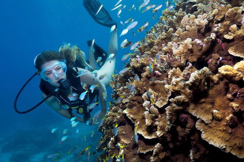 Great Barrier Reef Diving And Snorkeling Cruise From Cairns - Accommodation Mooloolaba 1