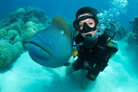 Great Barrier Reef Diving And Snorkeling Cruise From Cairns - Accommodation Mooloolaba 2