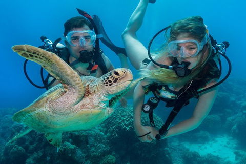 Great Barrier Reef Diving And Snorkeling Cruise From Cairns - Accommodation Mooloolaba 4