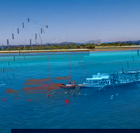 Ocean Free Green Island  Great Barrier Reef Snorkel Cruise Cairns 25 guests - Accommodation Mooloolaba