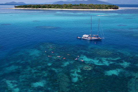 Ocean Free Green Island & Great Barrier Reef Snorkel Cruise, Cairns 25 Guests - Accommodation Mooloolaba 2