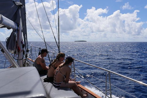 Ocean Free Green Island & Great Barrier Reef Snorkel Cruise, Cairns 25 Guests - Accommodation Mooloolaba 4