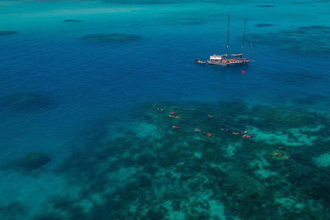 Ocean Free Green Island & Great Barrier Reef Snorkel Cruise, Cairns 25 Guests - Accommodation Mooloolaba 5