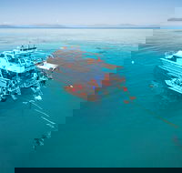 Ocean Freedom Great Barrier Reef Personal Luxury Snorkel  Dive Cruise Cairns - Accommodation Mooloolaba