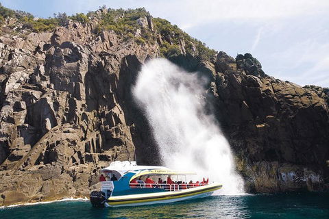 Full-Day Bruny Island Cruises Day Tour From Hobart - Accommodation Mooloolaba 4